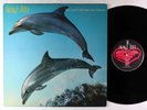 Orange Juice - You Can't Hide Your Love Forever LP - Polydor UK VG+