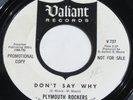 Garage Fuzz 45 - PLYMOUTH ROCKERS - Don't Say Why - VALIANT DJ VG++