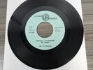 The ES Shades Garage Band GRAIL 45 United Audio Anyday, Anywhere Without My Love