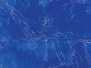 Water From Your Eyes - It's A Beautiful Place LP NEW