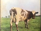 Pink Floyd Atom Heart mother 1st 1970 Uk Harvest Vinyl Lp Shvl 781 no emi box