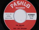 Funk 45 CALIF. SOUL EXPLOSION The Feeling PASHLO NM HEAR c