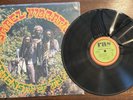 Israel Vibration ‘Strength Of My Life’ LP (RAS Records) Die Cut EX