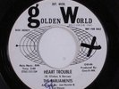 Northern Soul 45 PARLIAMENTS Heart Trouble GOLDEN WORLD promo HEAR c