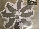 GHOST - RATS  7