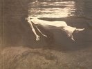 EVANS, Bill with JIM HALL - Undercurrent - GATEFOLD AUDIOPHILE VINYL LP