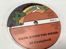 Al Campbell , Gone Down The Drain , Mary Ann , 12”Reggae.