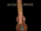 Duane Allman - Skydog: The Duane Allman Retrospective 14LP Numbered VINYL LP