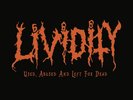 Used, Abused and Left For Dead (Vinyl)