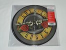 GUNS N ROSES Greatest Hits 2-LP PICTURE DISC PD Made in USA 2020 Hard Rock Vinyl