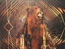 My Morning Jacket It Still Moves SIGNED BY FULL BAND 2 LP 1ST VINYL EDITION 2003