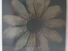 Cardiacs - Is This The Life - 1988 UK 12