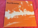 DEAD KENNEDYS FRESH FRUIT FOR ROTTING VEGETABLES 33 1/2 RPM RARE VINYL ORANGE