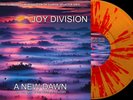 Joy Division A New Dawn: The Very Best of Joy Division in Concert (Vinyl)
