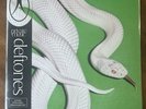 Deftones Private Music Deluxe Iridescent Gold Vinyl Unnumbered misprint NEW RARE