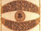 The Bevis Frond - Superseeder (2xVINYL) - ROCK *NEW*