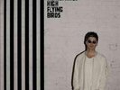 Chasing Yesterday - Gallagher,Noel ( High Flying Birds ) LP