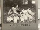 VIRGIN PRUNES Twenty Tens 7