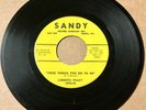 Lorenza Bracy 1961 DOO WOP 45 These Things You Do To Me/Miss You SANDY M/M- HEAR