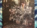 La Dispute LP Wildlife BROWN & BLACK STARBURST Limited Edition (1000) 2011