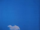 John Lennon Plastic Ono Band Live Peace In Toronto 1969 + Calendar RARE SEALED