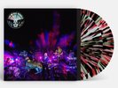 The Black Angels Levitation Sessions (RSD Black Friday 2023) (Vinyl)