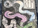 R.E.M. Reckoning LP Vinyl Record USED VG+/VG+  REM