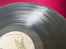 The Doors - Waiting For The Sun - Vinyl LP [EX/EX] 1968 Elektra K42041 Butterfly