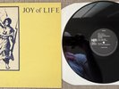 Joy Of Life - Enjoy -Vinyl - New European Recordings (NER ) - RARE - GOTH
