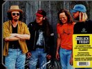 BOTTLE ROCKETS - BOTTLE ROCKETS (LP 2023) NEW*MAROON VINYL*13 TRACKS*