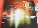 Incubus Make Yourself Vintage Vinyl 2-LP Record Red