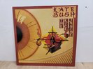 Kate Bush - The Kick Inside Vinyl LP EMI EMC 3223 1978 NM