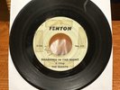 RARE Garage Rock 45 Record THE QUESTS What Can I Do/Shadows In The Night VG