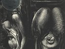 The Shiver Walpurgis GATEFOLD, INCL. INSERT NEW OVP Sommor Vinyl LP