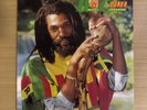 DON CARLOS - Deeply Concerned - Vinyl Record**Excellent Condition** - RARE