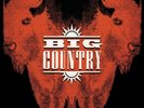 The Buffalo Skinners by Big Country [VINYL]