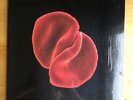 Peter Gabriel Scratch My Back 200g Vinyl Record Real World PGLP12 2010 Sealed