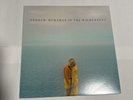 Andrew Mcmahon in the Wilderness by Mcmahon, Andrew (Record, 2014)
