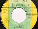 RARE ORIGINAL Digi Roots Reggae  HOL IT DUNG  MC BOMBER perfect example mp3