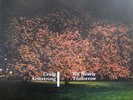 Craig Armstrong - It's Nearly Tomorrow, 2xLP, (Vinyl)