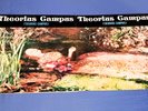 THEORIUS CAMPUS ((Sales/De Gregori)-Theorius Campus 1972 IT ZSLI 70007 EX /EX