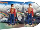 Marillion – Misplaced Childhood - Picture Disc LP Vinyl Record 12