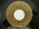 RARE Doo Wop 45 - Tony & The Raindrops 