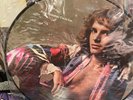 Peter Frampton 