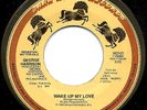MINT BEATLES GEORGE HARRISON 'WAKE UP MY LOVE' MONO DJ PROMO & DARK HORSE SLEEVE