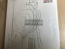 Gastr Del Sol/Camoufleur DC133 Used LP