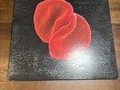 Peter Gabriel Scratch My Back 2010 Vinyl