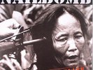 NAILBOMB - Point Blank - Vinyl (180 gram audiophile vinyl LP + insert)