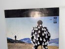 pink floyd delicate sound of thunder vinyl Lp Russian Pressing