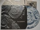 THE SUNDAYS Reading Writing & Arithmetic NM- ROUGH TRADE '90 UK Picture Disc LP
